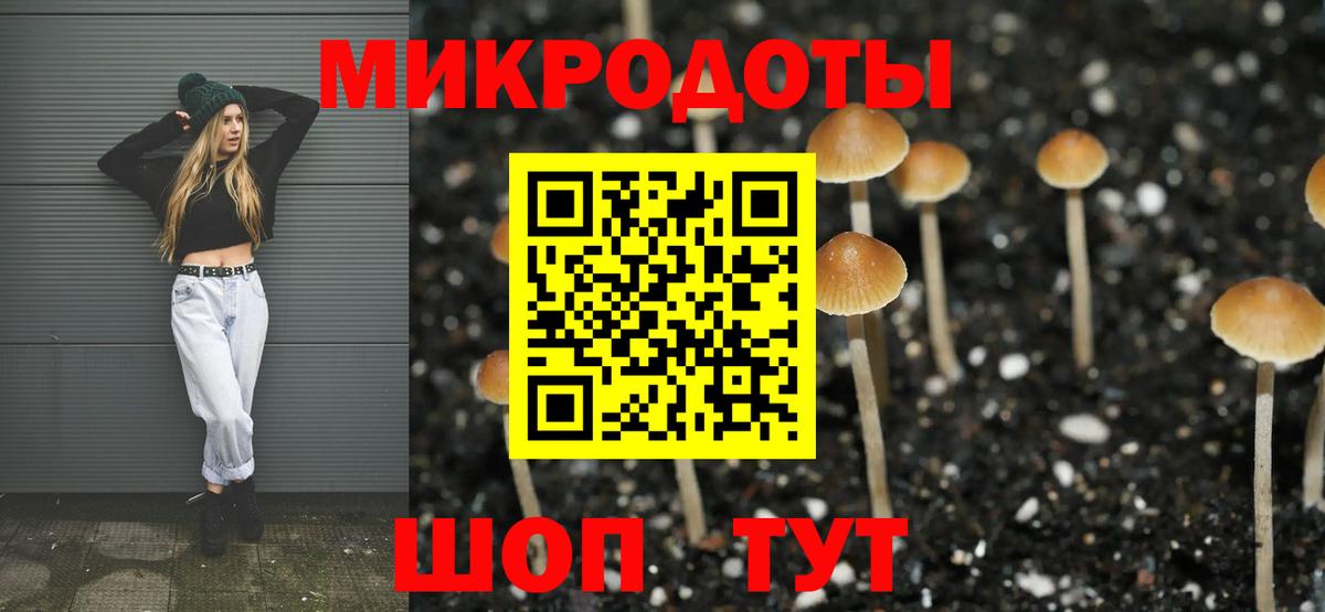 Печора  Псилоцибиновые грибы прущие грибы  Вход с VPN 